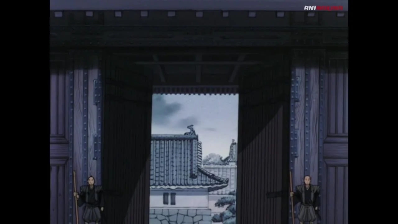 Деревья под Солнцем