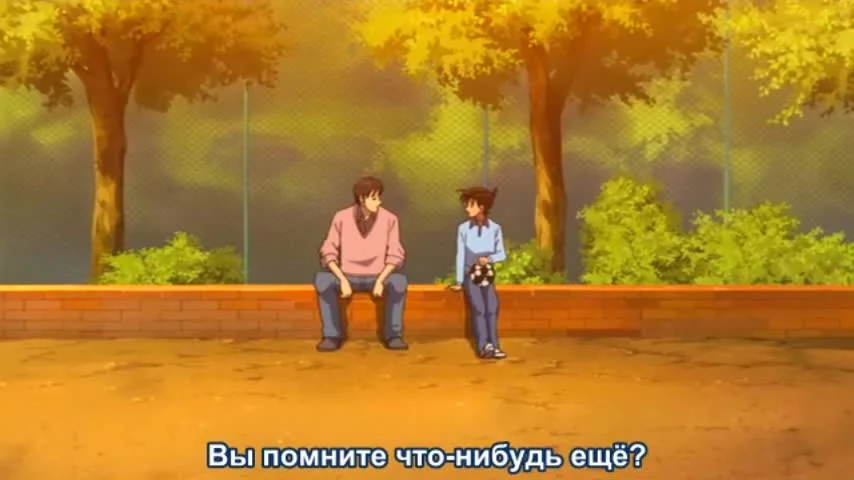 Детектив Конан: Дело о таинственной стене и чёрном лабрадоре