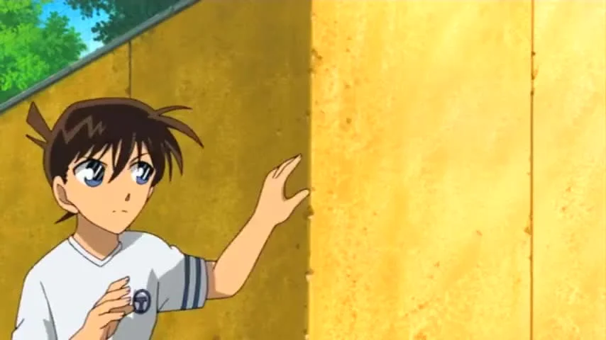 Детектив Конан: Дело о таинственной стене и чёрном лабрадоре