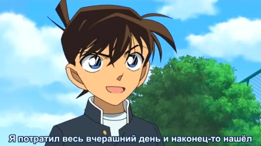 Детектив Конан: Дело о таинственной стене и чёрном лабрадоре