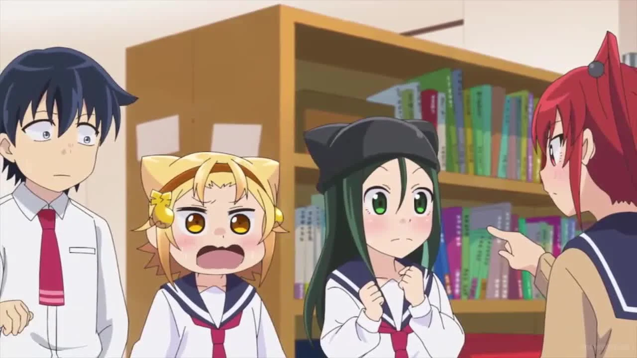 Дневник Ятогамэ 2