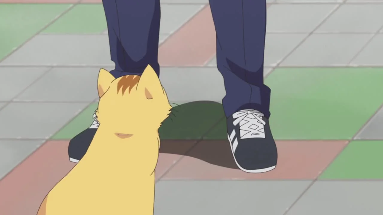 Дневник Ятогамэ