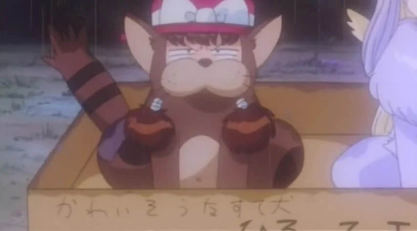 Гамельнский скрипач (1996)