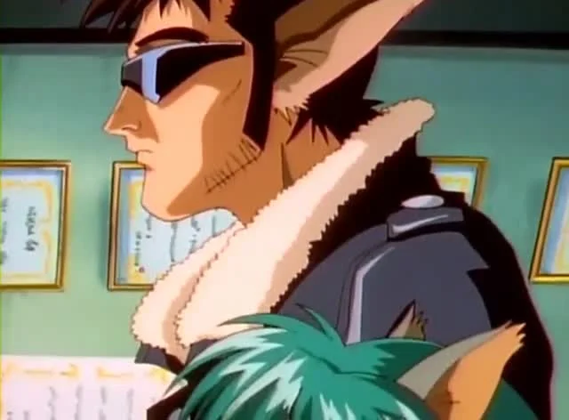 Гиперполиция