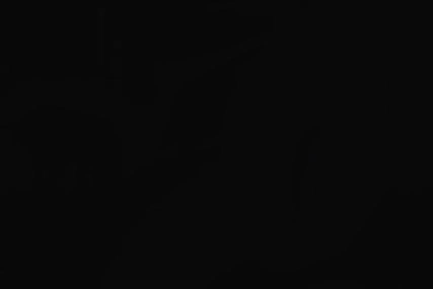 Идолмастер Ксеноглоссия