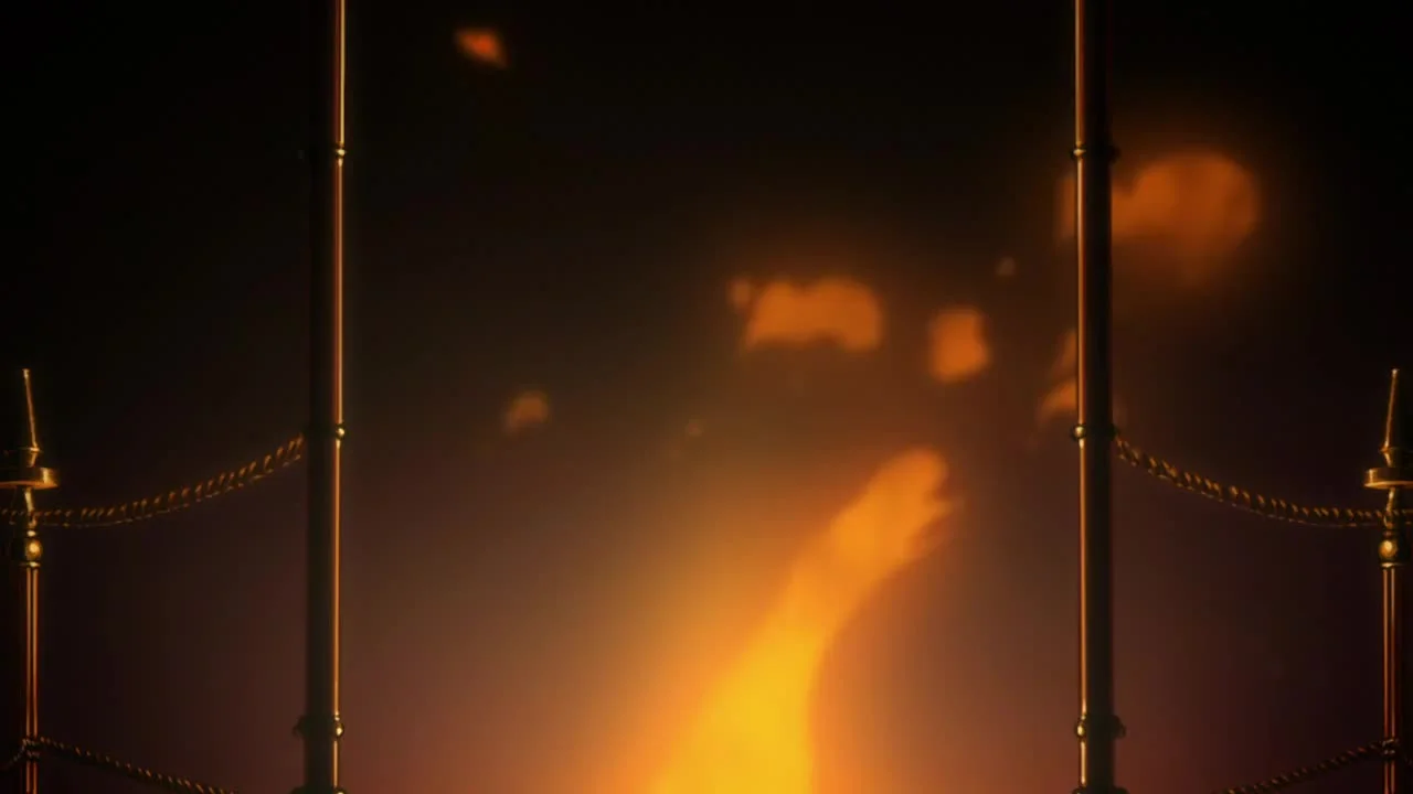 Из нового света