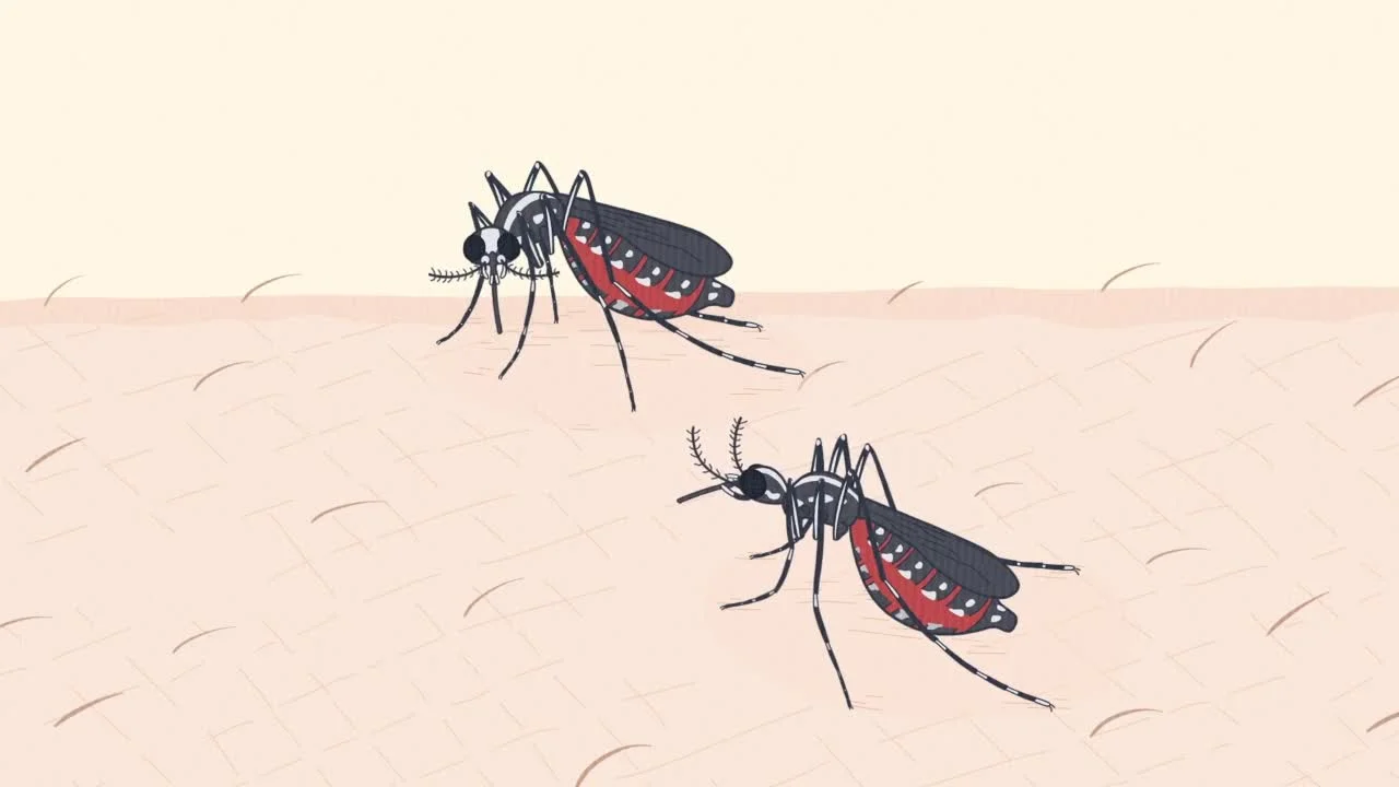 Энциклопедия жалких созданий 2