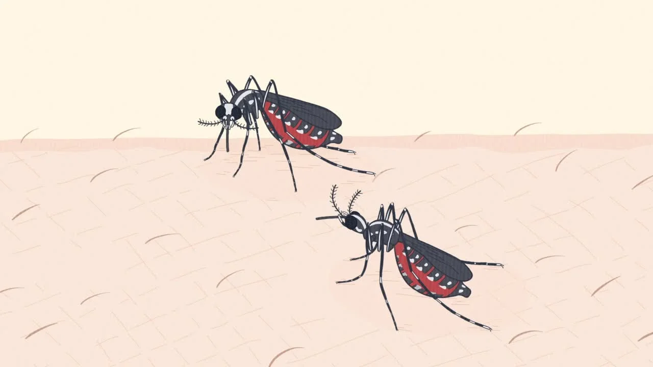 Энциклопедия жалких созданий 2