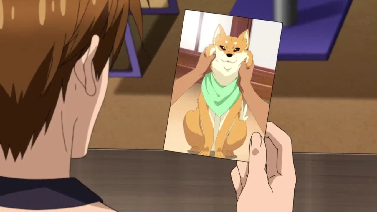 Какао цвета дождя 4