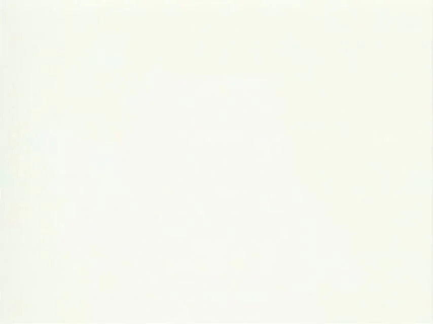 Кошачий театр