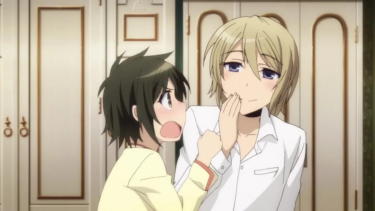 Мальчик-горничная