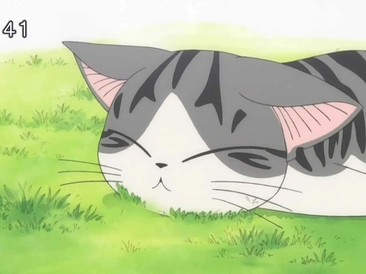 Милый дом Чи