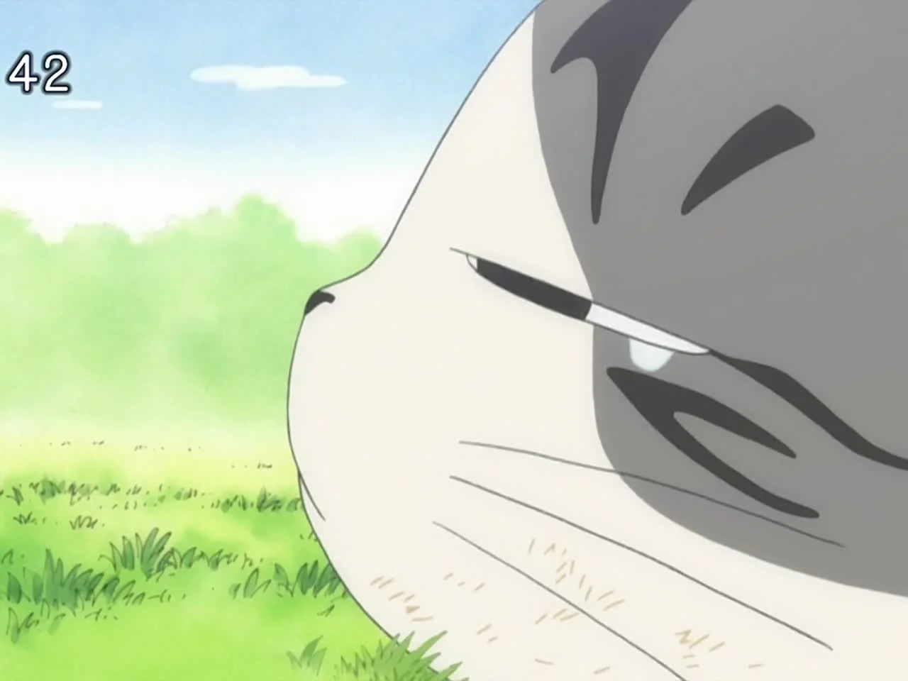 Милый дом Чи