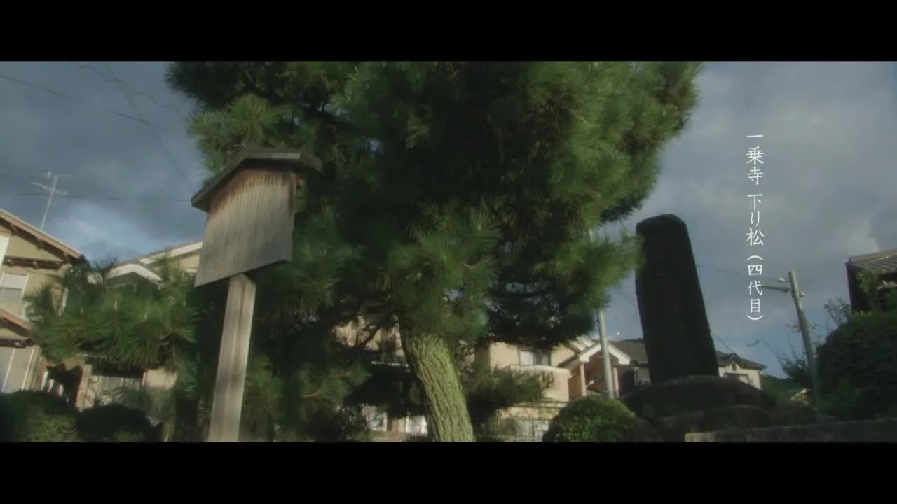 Мусаси, мечта последнего самурая