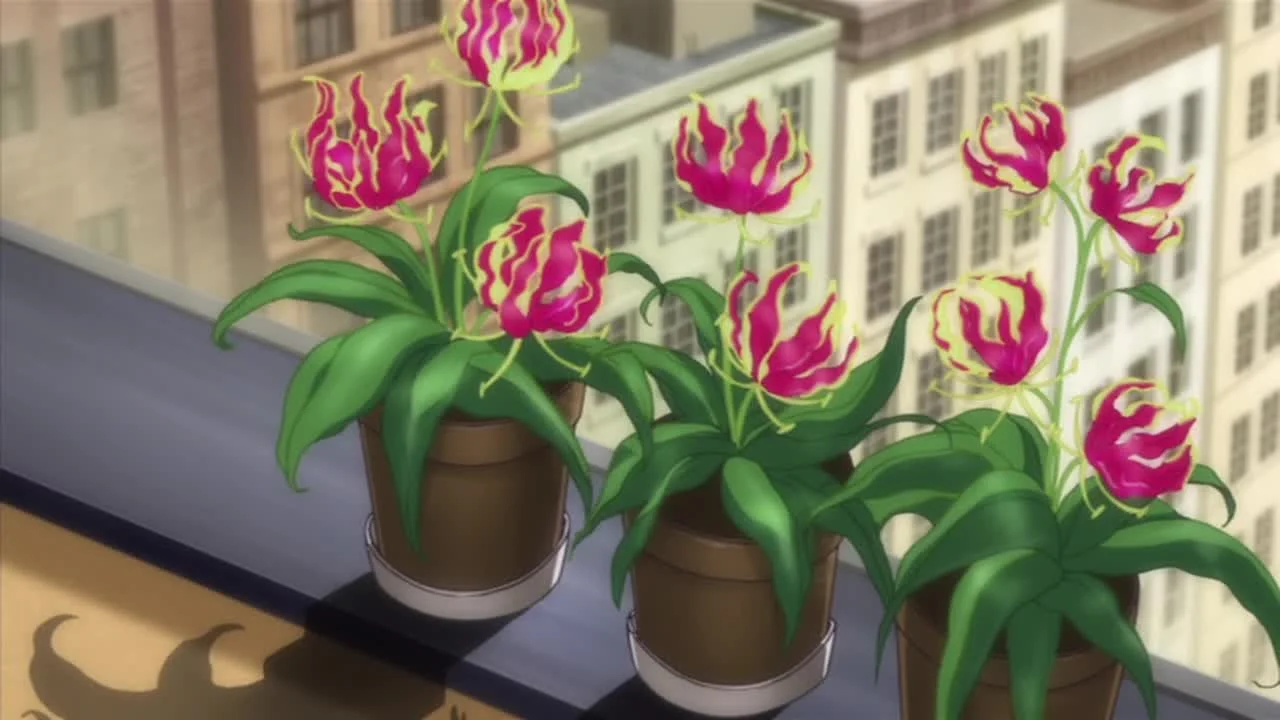 Огни Пёстрой арены: История Лейлы Хамильтон