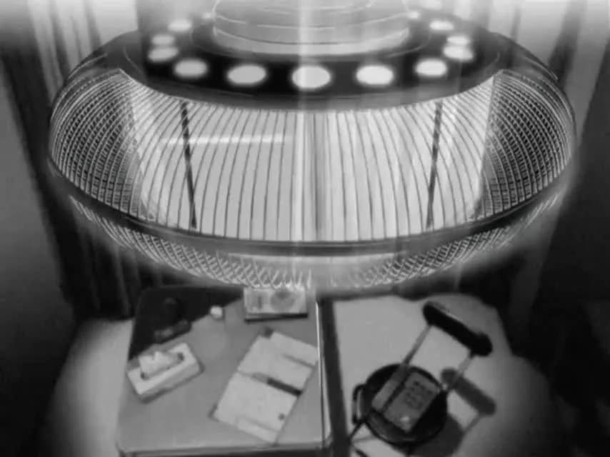 Она и её кот