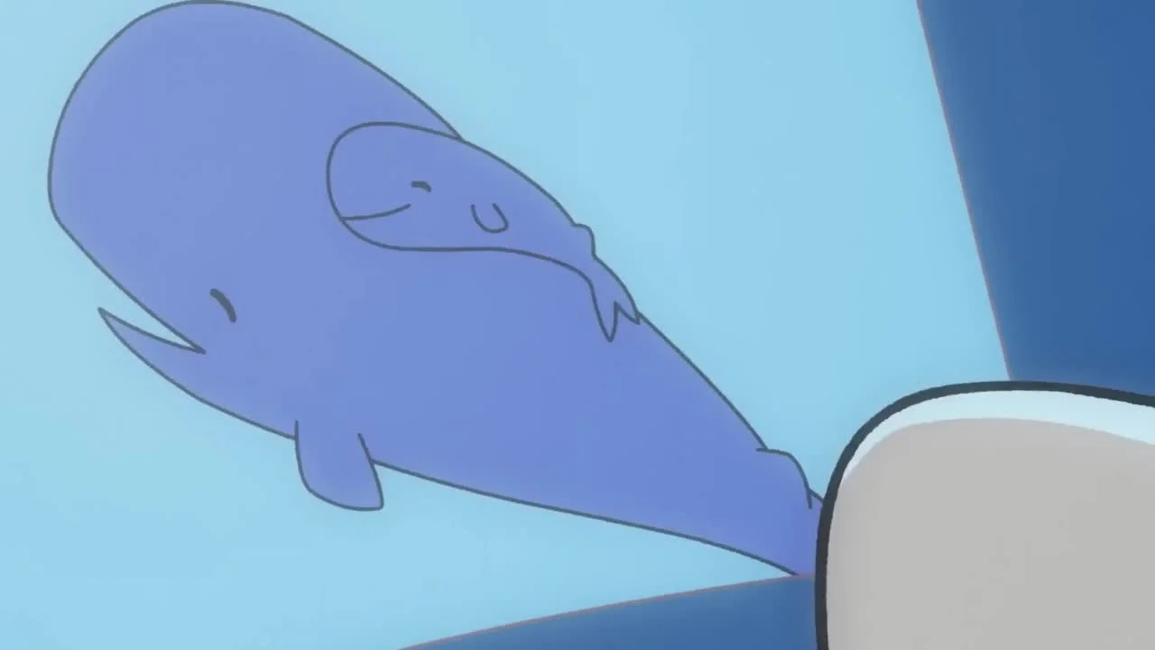 Прогулки маленькой акулы