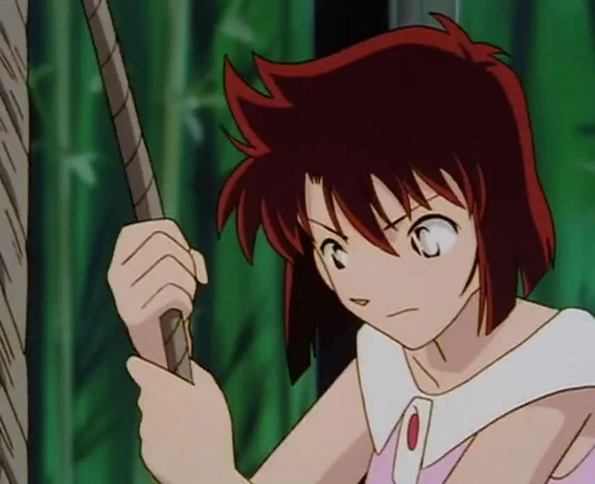 Сборник историй Госё Аоямы