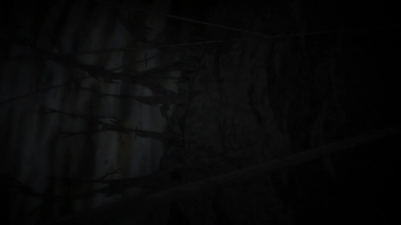 Тетрадь дружбы Нацумэ: Эфемерная связь