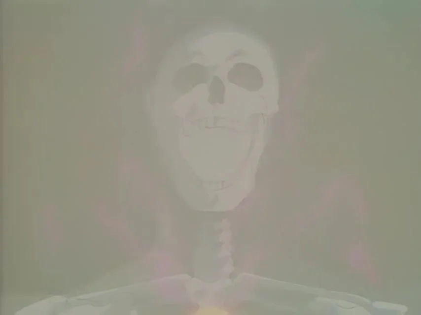 Новое воплощение богини: Токийское откровение