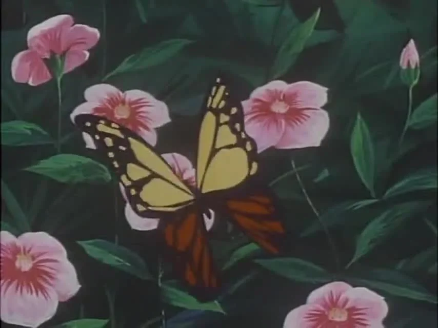 Трансформеры: Зона