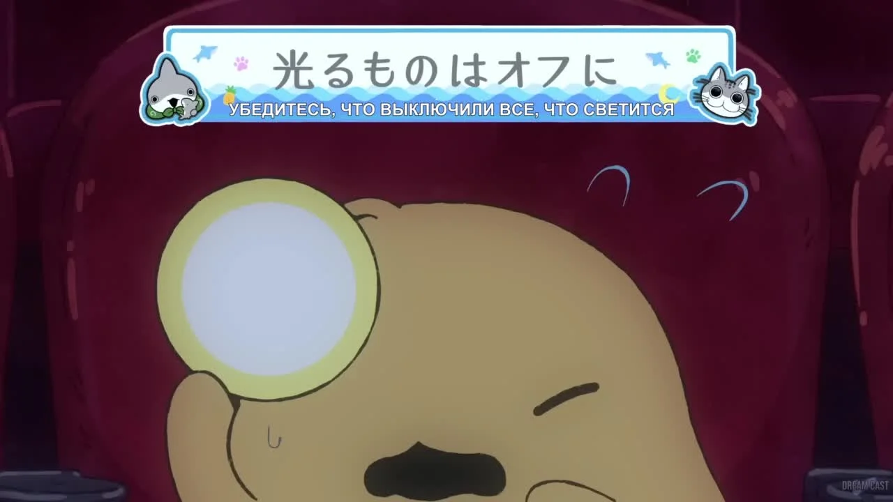 Прогулки маленькой акулы и Вечера с кошкой: Урок хороших манер