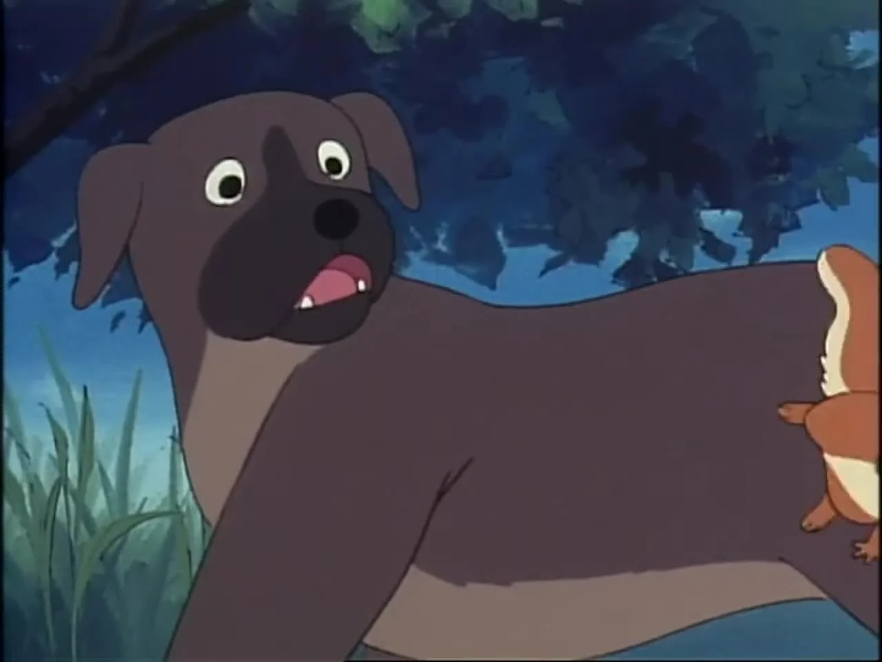 Хроники животных Сетона: Беличья история