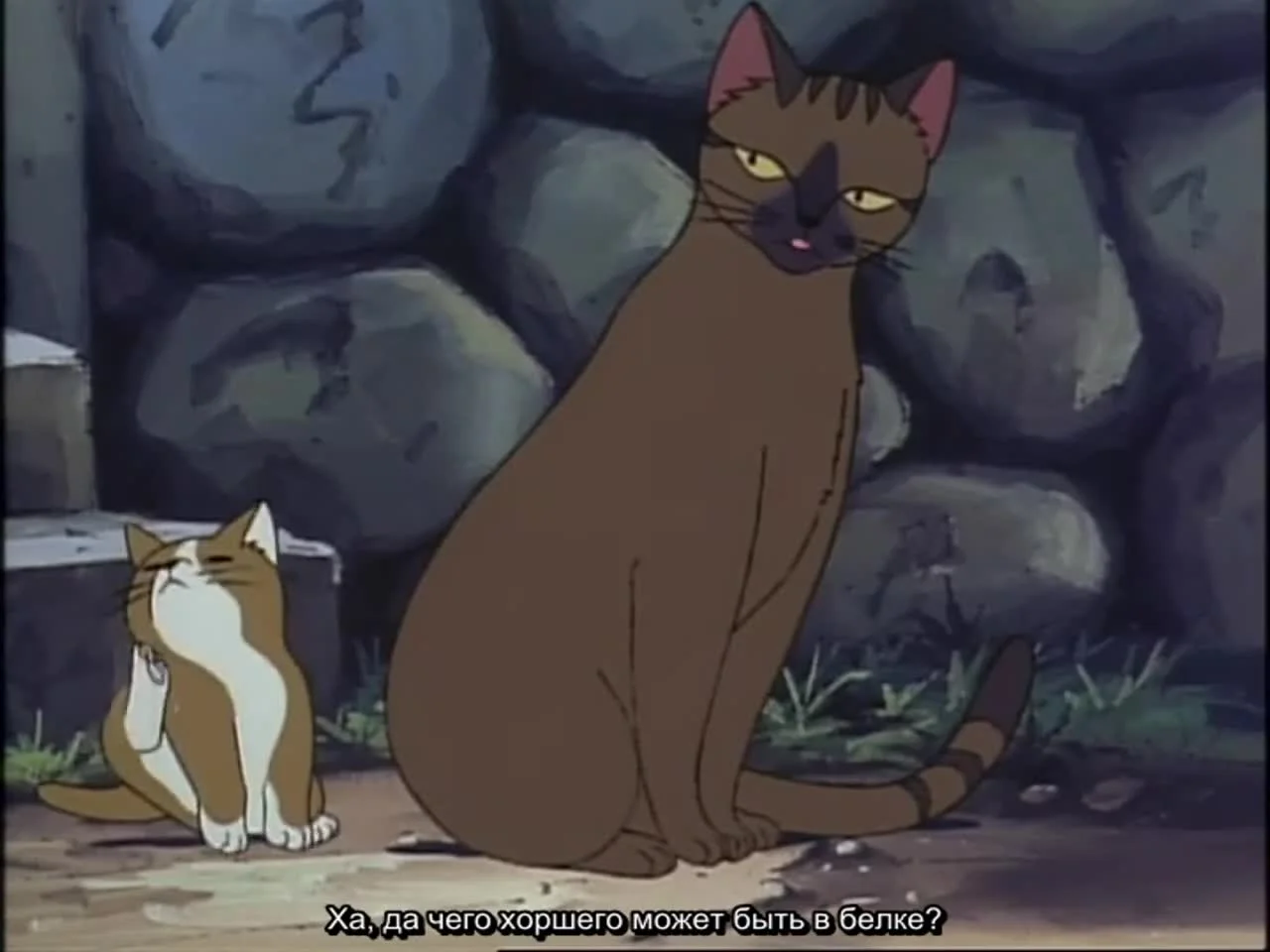 Хроники животных Сетона: Беличья история