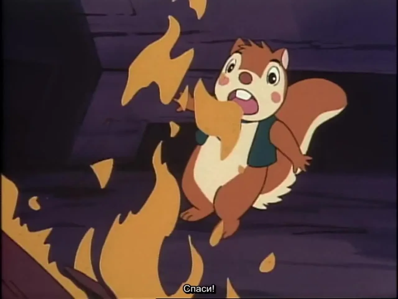 Хроники животных Сетона: Беличья история