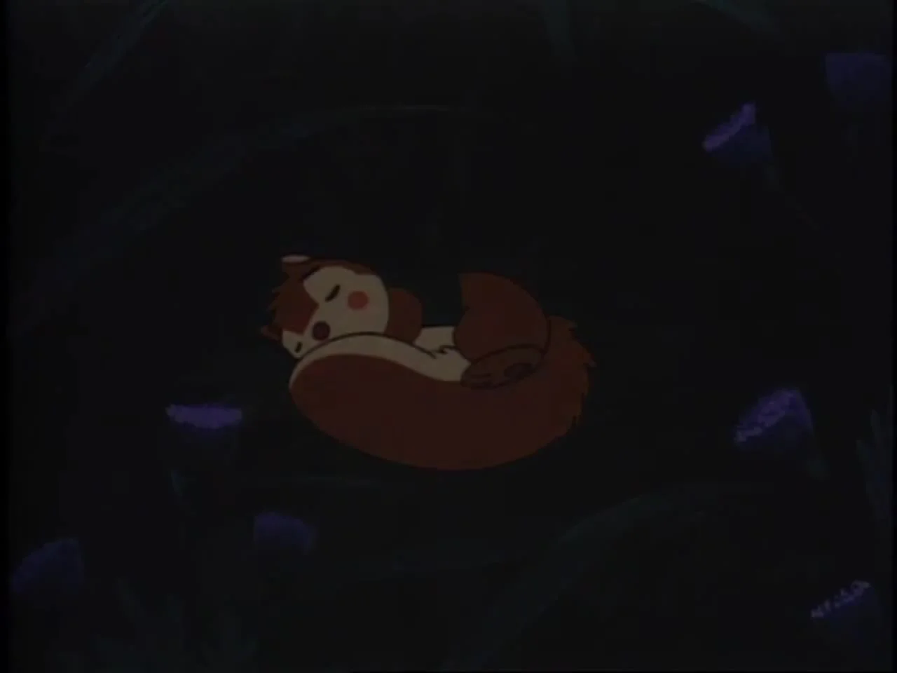 Хроники животных Сетона: Беличья история